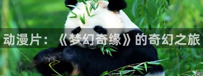 78动漫手机版：动漫片：《梦幻奇缘》的奇幻之旅