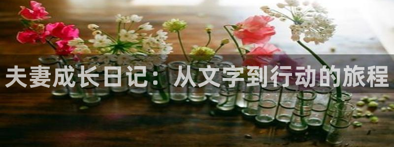 78动漫 官网：夫妻成长日记：从文字到行动的旅程