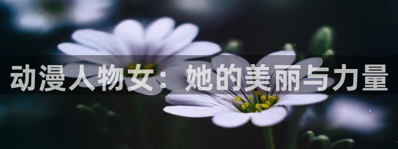 变形金刚78动漫：动漫人物女：她的美丽与力量