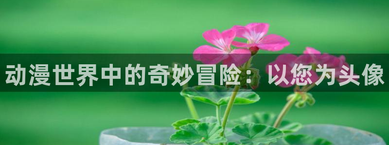 78动漫吧：动漫世界中的奇妙冒险：以您为头像