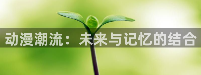 78动漫网站：动漫潮流：未来与记忆的结合