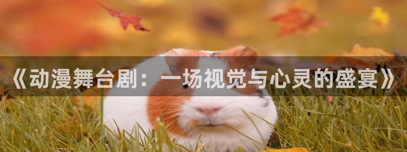 178动漫之家官网：《动漫舞台剧：一场视觉与心灵的盛宴》